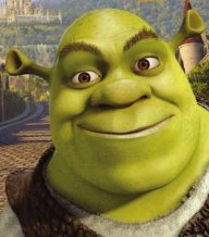 The Ogre Lord Shrek